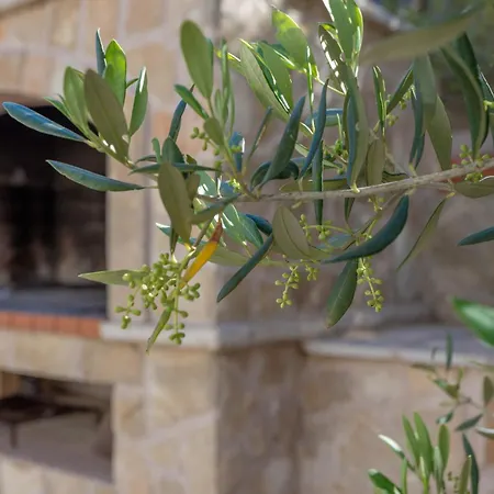 Zastupac 8761d Appartement