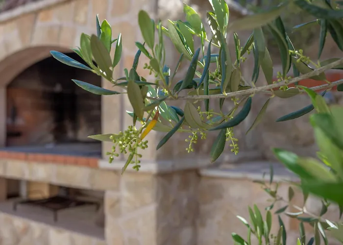 Zastupac 8761d Apartment